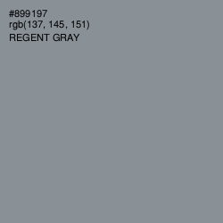 #899197 - Regent Gray Color Image